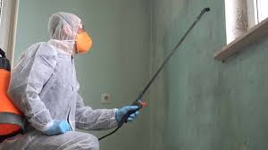 Best Mold Remediation for Healthcare Facilities  in Frenchtown, NJ