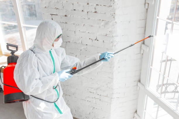 Best Environmental Consulting for Mold Prevention  in Frenchtown, NJ