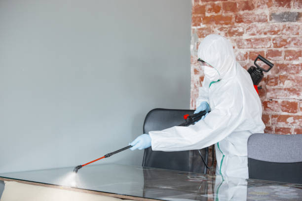 Best Residential Mold Inspection & Testing  in Frenchtown, NJ