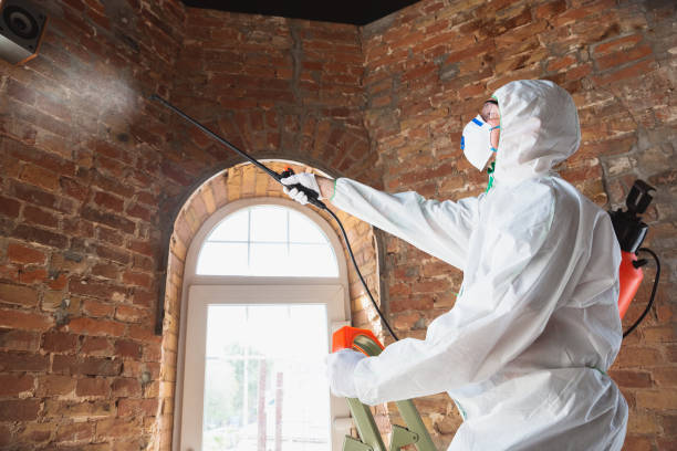 Best Comprehensive Air Testing for Mold Contaminants  in Frenchtown, NJ